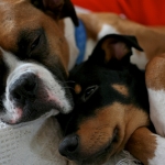 Let’s talk about Sleep, baby