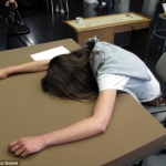 Mark Hyman Sleep Tips